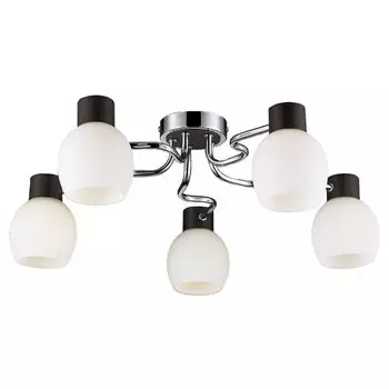 Люстра потолочная Lussole Carpino LSC-8503-05