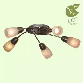 Люстра потолочная Lussole Cevedale GRLSQ-6907-05