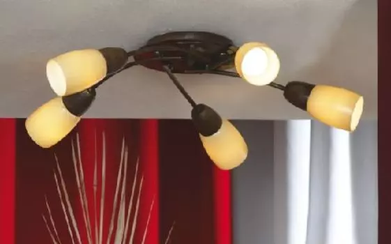 Люстра потолочная Lussole Cevedale LSQ-6917-05