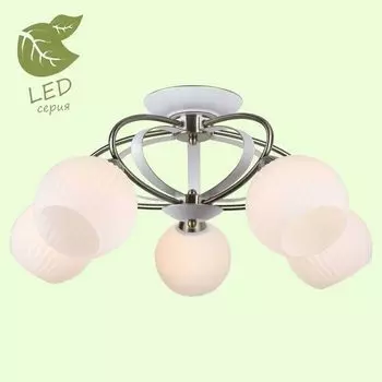 Люстра потолочная Lussole Fayetteville GRLSP-0166