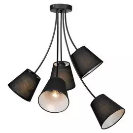 Люстра потолочная Lussole Lafayette LSP-8266