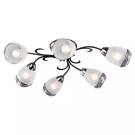 Люстра потолочная Lussole LSP-9952