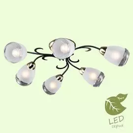 Люстра потолочная Lussole Oakland GRLSP-9952