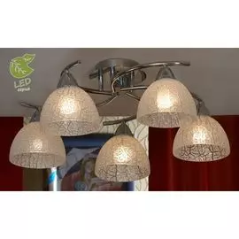 Люстра потолочная Lussole Zungoli GRLSF-1603-05