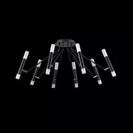 Люстра потолочная Maytoni Modern MOD620CL-16B