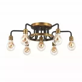 Люстра потолочная Odeon Light Alonzo 3983/7C