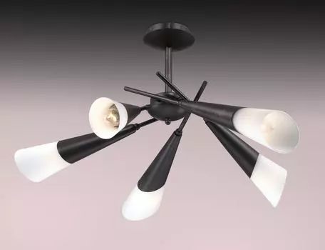 Люстра потолочная Odeon Light Evans 2464/5C