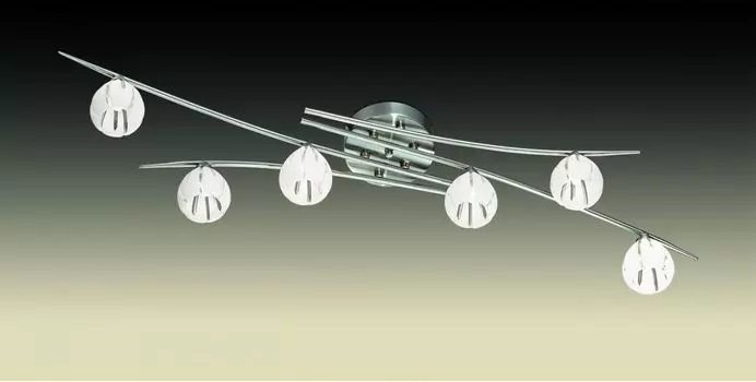 Люстра потолочная Odeon Light Kinston 2465/6C