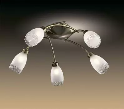 Люстра потолочная Odeon Light Lerta 1803/5C