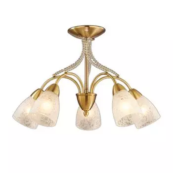 Люстра потолочная Odeon Light Mariot 2541/5C