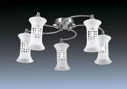 Люстра потолочная Odeon Light Rukba 2516/5C