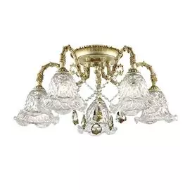 Люстра потолочная Odeon Light Tenera 2885/5C