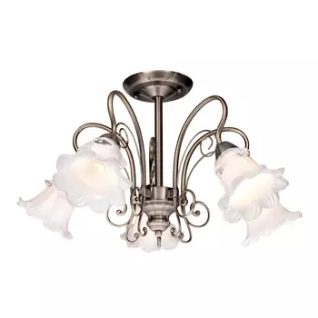 Люстра потолочная Silver Light Tenderness 510.53.5