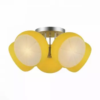 Люстра потолочная ST Luce Arancio SL482.902.05