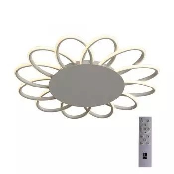 Люстра потолочная ST Luce Camomilla SL828.512.12