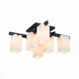 Люстра потолочная ST Luce Caset SL541.402.06