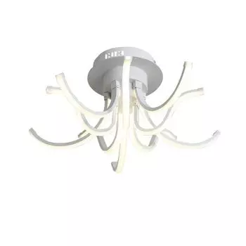 Люстра потолочная ST Luce Finde SL826.502.10
