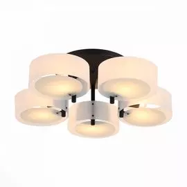 Люстра потолочная ST Luce Foresta SL483.402.05