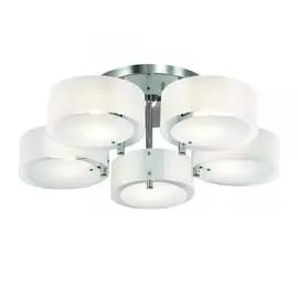 Люстра потолочная ST Luce Foresta SL483.502.05