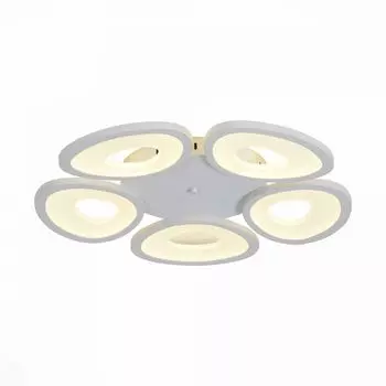 Люстра потолочная ST Luce Rista SL929.502.05