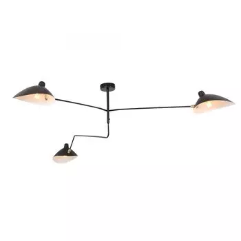 Люстра потолочная ST Luce Spruzzo SL305.402.03
