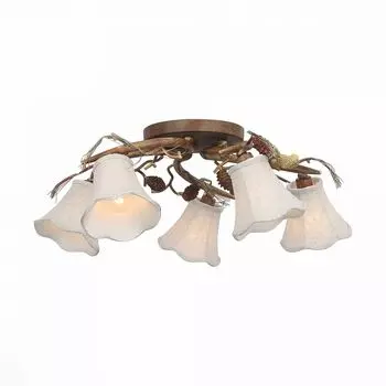 Люстра потолочная ST Luce Uccellino SL167.702.05