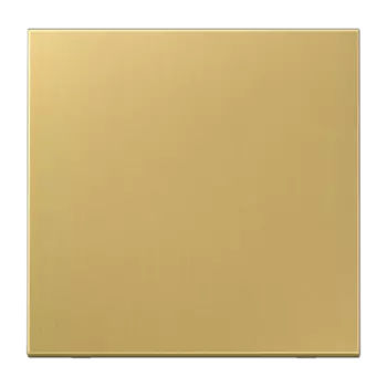 ME1700C Латунь классик Центральная плата стандарт Jung LS серия