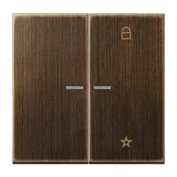 ME1701AT латунь антик Центральная плата универсальная Jung LS серия