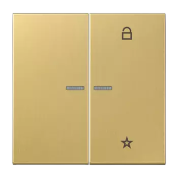 ME1701C латунь классик Центральная плата универсальная Jung LS серия