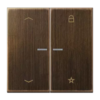 ME1701PAT латунь антик Центральная плата универсальная «стрелки» Jung LS серия