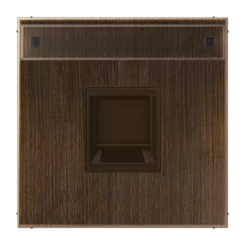 ME1969-1NAWEAT антик латунь Плата (фиксация защёлкиванием) с полем для надписи для модульных гнёздUMA-CAT6A Jung LS серия