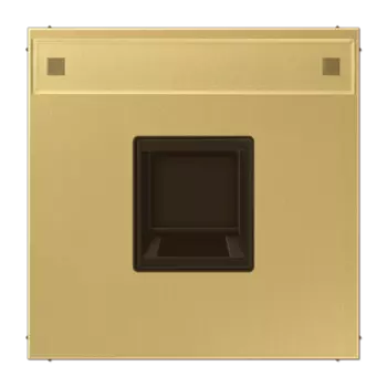 ME1969-1NAWEC классик латунь Плата (фиксация защёлкиванием) с полем для надписи для модульных гнёздUMA-CAT6A Jung LS серия