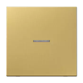 ME2990KO5C Клавиша для контрольного выключателя Jung LS серия