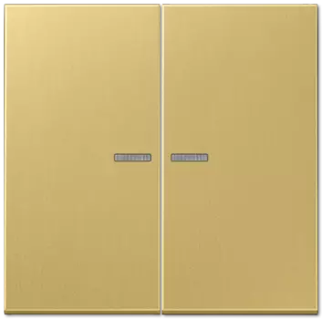 ME2995KO5C Двойная клавиша на выключатель, с окошком, Классик Jung LS серия