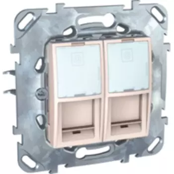 MGU5.2424.25ZD Компьютерная розетка 2хRJ45 кат. 6, с полем для надписи бежевый Schneider Electric