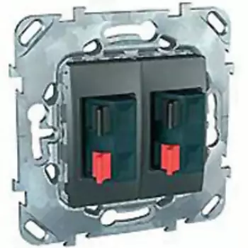 MGU5.8787.12ZD Аудио розетка двойная, графит Schneider Electric