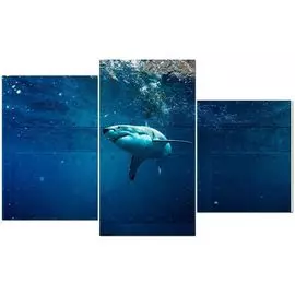 Мини модульная картина Toplight 55х94см TL-MM1015