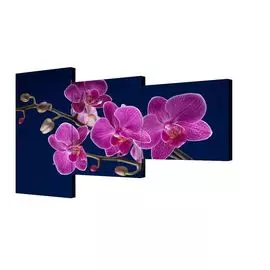 Модульная картина Божественный цветок Toplight 150х100см TL-M2020