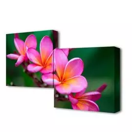 Модульная картина Нежность цветения Toplight 50x100см TL-M2010