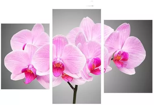 Модульная картина Toplight 65х99см TL-TM1010