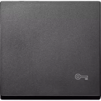 MTN3303-0414 Клавиша с пиктограммой «ключ» антрацит Merten