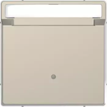 MTN3854-6033 D-life выключатель с ключюм-картой для гостиниц, сахара Merten