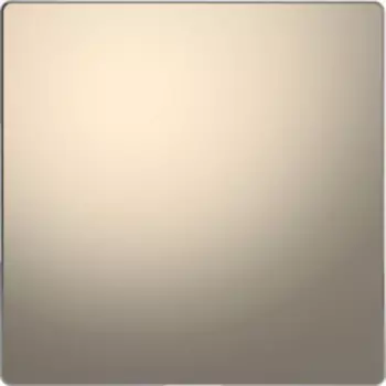 MTN4075-6050 D-life заглушка, никель Merten