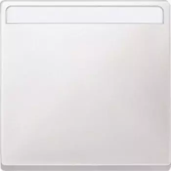 MTN412319 Клавиша 1-я, с полем для надписи, System Design, цвет полярно-белый Merten