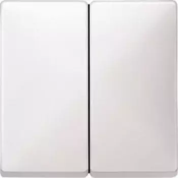 MTN412519 Клавиша x2, белый Merten