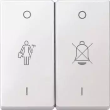 MTN412619 Клавиша х2 с марк, белый Merten