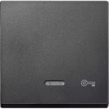 MTN430714 Клавиша с свет. индик., "дверь" Merten