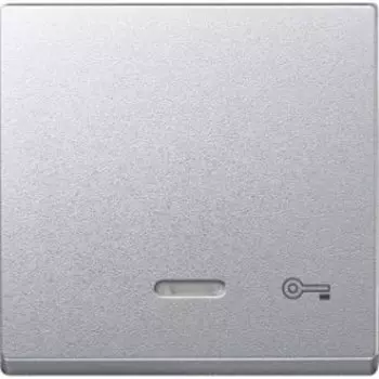 MTN430760 Клавиша с свет. индик., "дверь" Merten
