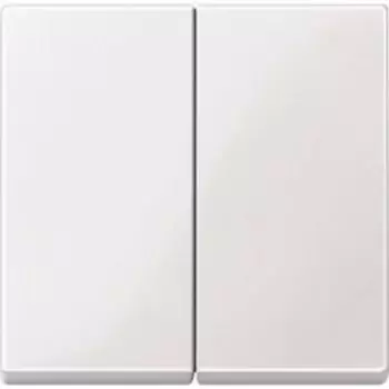 MTN432519 Клавиша x2, белый Merten