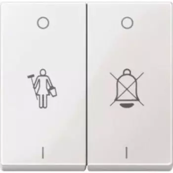 MTN432619 Клавиша x2 с надписями для горничной Merten